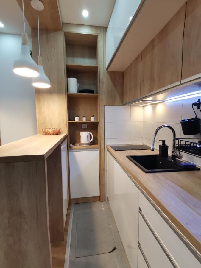 Mitrovic Lux Apartment *