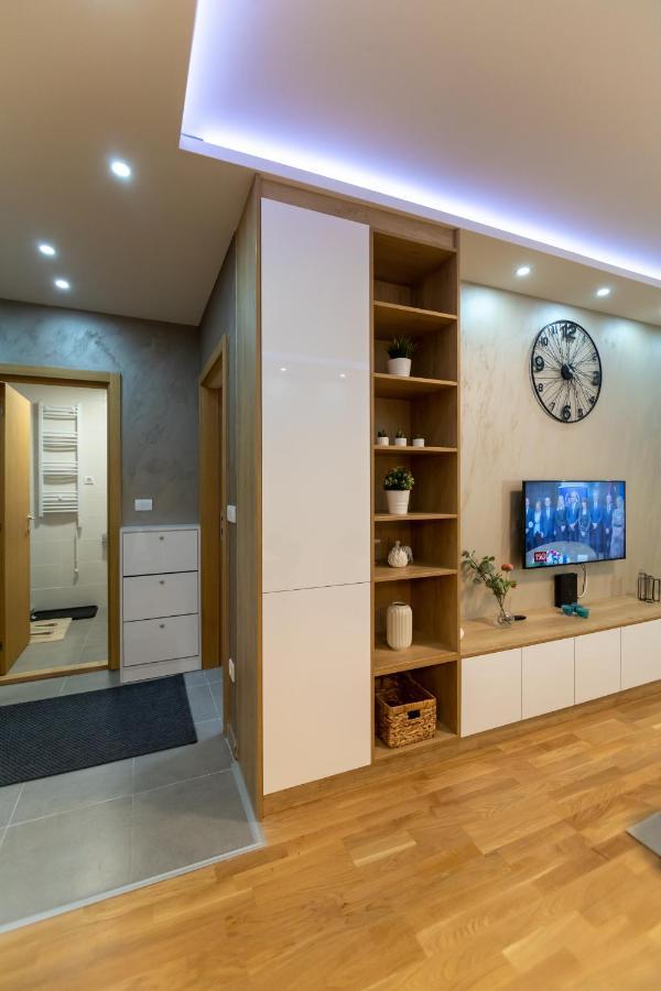 Apartment Mitrovic Lux