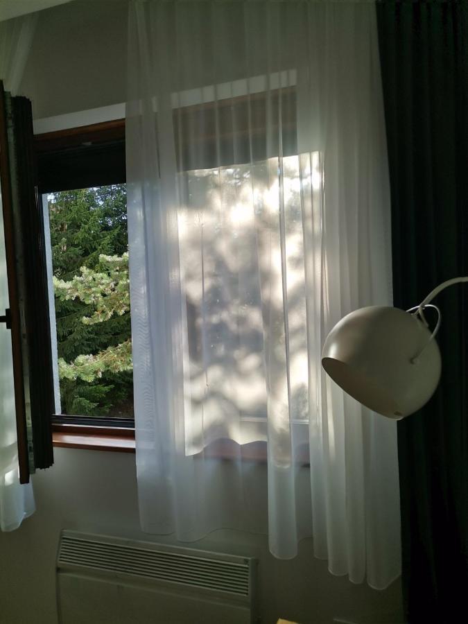 Mitrovic Lux Apartment