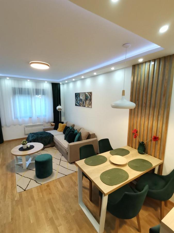 Mitrovic Lux Apartment *